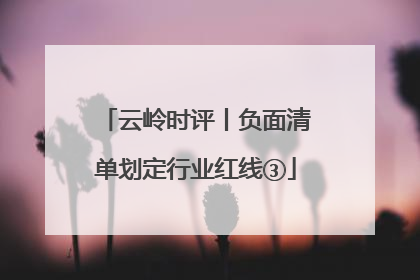 云岭时评丨负面清单划定行业红线③