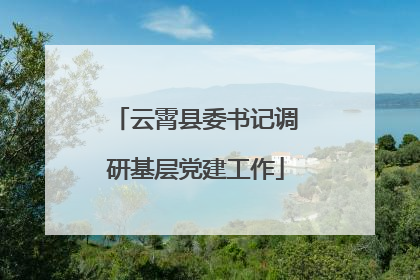 云霄县委书记调研基层党建工作