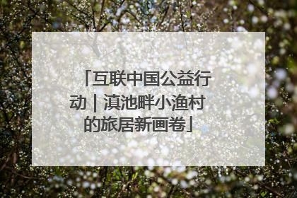 互联中国公益行动｜滇池畔小渔村的旅居新画卷