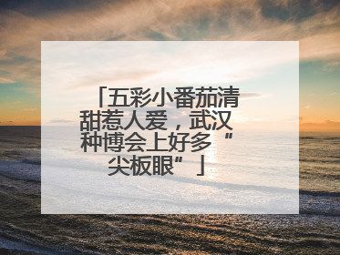 五彩小番茄清甜惹人爱，武汉种博会上好多“尖板眼”