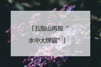 五指山再现“水中大熊猫”