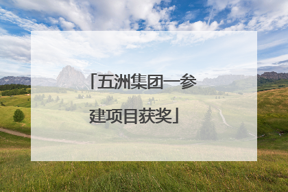 五洲集团一参建项目获奖