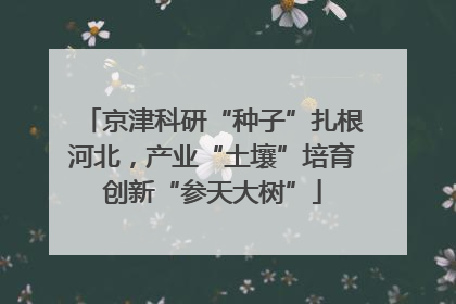 京津科研“种子”扎根河北，产业“土壤”培育创新“参天大树”