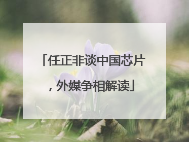 任正非谈中国芯片，外媒争相解读