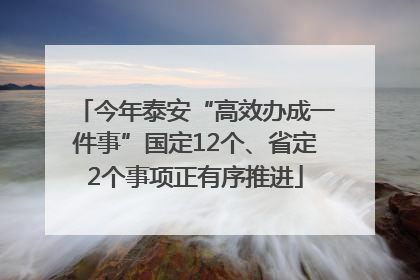 今年泰安“高效办成一件事”国定12个、省定2个事项正有序推进