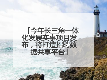 今年长三角一体化发展实事项目发布，将打造招聘数据共享平台