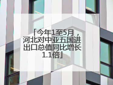 今年1至5月，河北对中亚五国进出口总值同比增长1.1倍