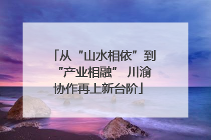 从“山水相依”到“产业相融” 川渝协作再上新台阶