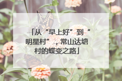 从“早上好”到“明星村”，常山达塘村的蝶变之路