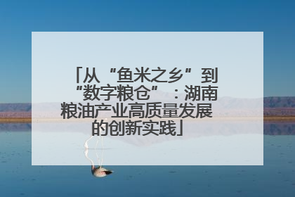 从“鱼米之乡”到“数字粮仓”：湖南粮油产业高质量发展的创新实践