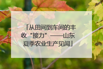 从田间到车间的丰收“接力”——山东夏季农业生产见闻