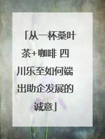 从一杯桑叶茶+咖啡 四川乐至如何端出助企发展的诚意