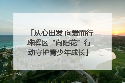 从心出发 向爱而行 珠晖区“向阳花”行动守护青少年成长
