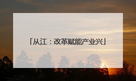 从江：改革赋能产业兴