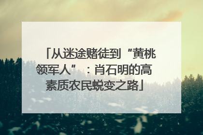 从迷途赌徒到“黄桃领军人”：肖石明的高素质农民蜕变之路