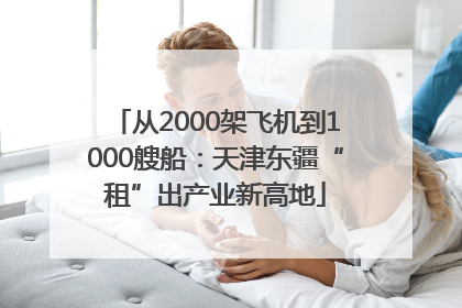 从2000架飞机到1000艘船：天津东疆“租”出产业新高地