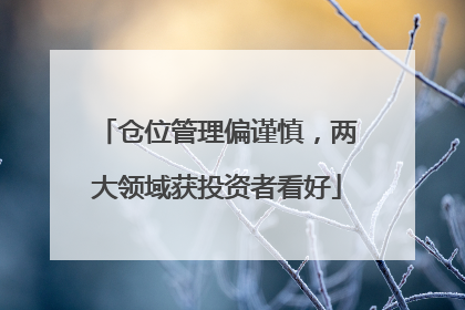 仓位管理偏谨慎，两大领域获投资者看好