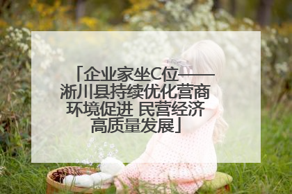 企业家坐C位——淅川县持续优化营商环境促进 民营经济高质量发展