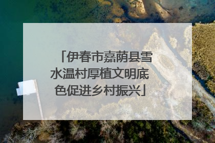 伊春市嘉荫县雪水温村厚植文明底色促进乡村振兴
