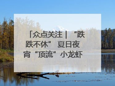 众点关注｜“跌跌不休” 夏日夜宵“顶流”小龙虾价格腰斩 东营人的快乐来了