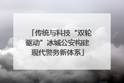 传统与科技“双轮驱动”冰城公安构建现代警务新体系