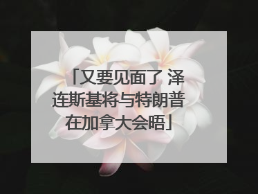 又要见面了 泽连斯基将与特朗普在加拿大会晤