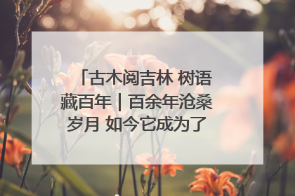 古木阅吉林 树语藏百年｜百余年沧桑岁月 如今它成为了“镇园之宝”