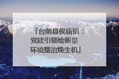 台前县侯庙镇：党建引领绘新景 环境整治焕生机