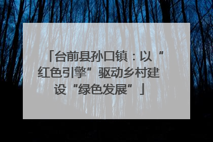 台前县孙口镇：以“红色引擎”驱动乡村建设“绿色发展”
