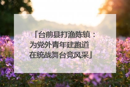 台前县打渔陈镇：为党外青年建跑道 在统战舞台竞风采