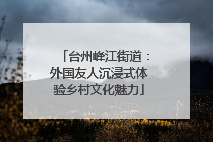 台州峰江街道：外国友人沉浸式体验乡村文化魅力