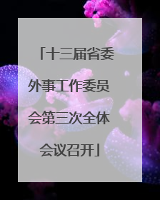 十三届省委外事工作委员会第三次全体会议召开