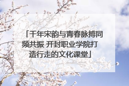 千年宋韵与青春脉搏同频共振 开封职业学院打造行走的文化课堂
