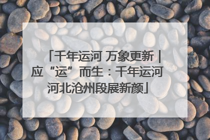 千年运河 万象更新｜应“运”而生：千年运河河北沧州段展新颜