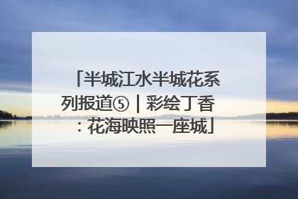 半城江水半城花系列报道⑤｜彩绘丁香：花海映照一座城