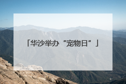 华沙举办“宠物日”