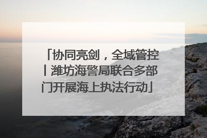 协同亮剑，全域管控丨潍坊海警局联合多部门开展海上执法行动