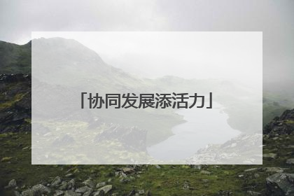 协同发展添活力