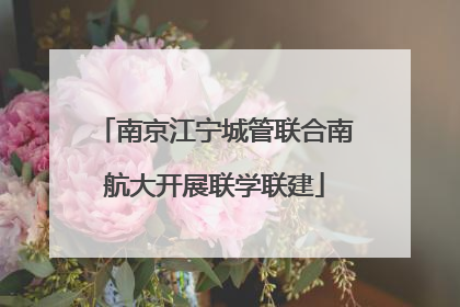 南京江宁城管联合南航大开展联学联建
