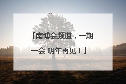 南博会频道，一期一会 明年再见！