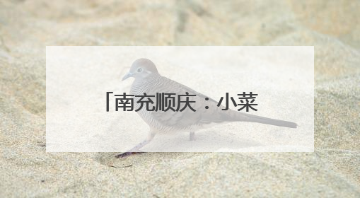 南充顺庆：小菜篮装满大民生 产业链拓宽致富路