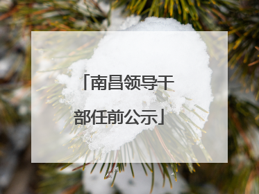 南昌领导干部任前公示