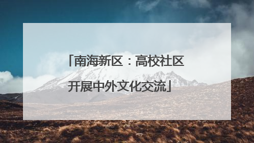 南海新区：高校社区开展中外文化交流