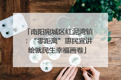 南阳宛城区红泥湾镇：“零距离”惠民宣讲 绘就民生幸福画卷