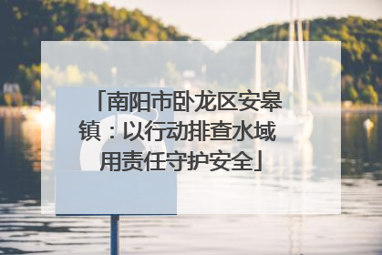 南阳市卧龙区安皋镇：以行动排查水域 用责任守护安全