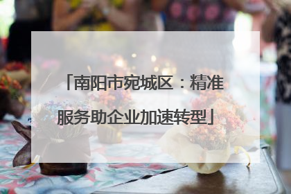 南阳市宛城区：精准服务助企业加速转型