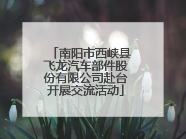南阳市西峡县飞龙汽车部件股份有限公司赴台开展交流活动