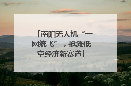 南阳无人机“一网统飞”，抢滩低空经济新赛道