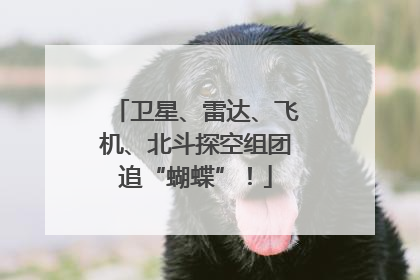 卫星、雷达、飞机、北斗探空组团追“蝴蝶”！