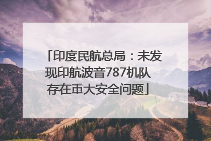 印度民航总局：未发现印航波音787机队存在重大安全问题